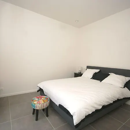 Villa Modern With Private Pool In France Vidauban